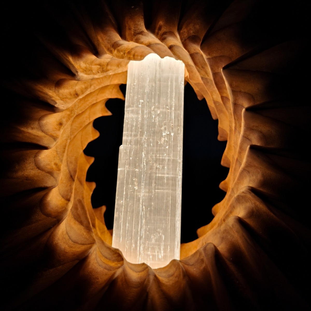 Dettaglio della bacchetta di selenite selezionata e illuminata, inserita nella scultura in cedro Filo di Luce.